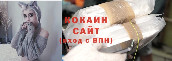 PSILOCYBIN Абаза