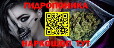 стаф Шахты