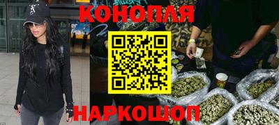 стаф Шахты