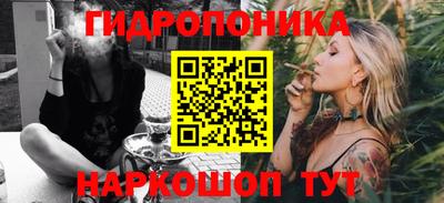 стаф Шахты
