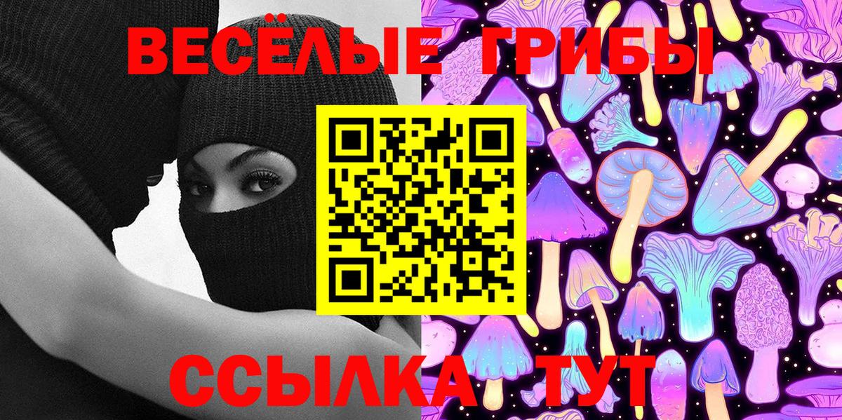 Галлюциногенные грибы Psilocybine cubensis  Псилоцибиновые грибы ЛСД  Тутаев  Вход с VPN 